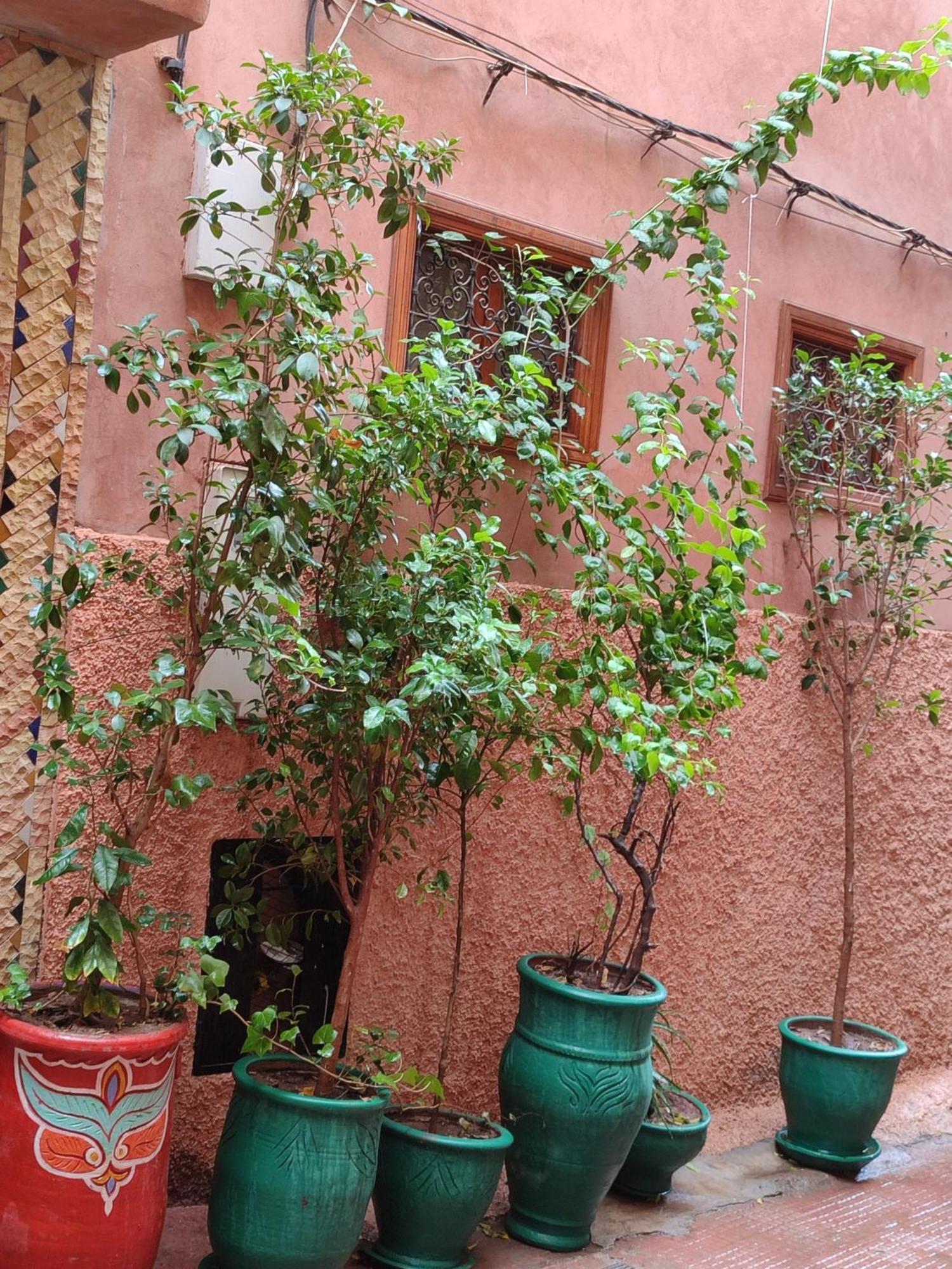 Zahri 2* Marrakesh