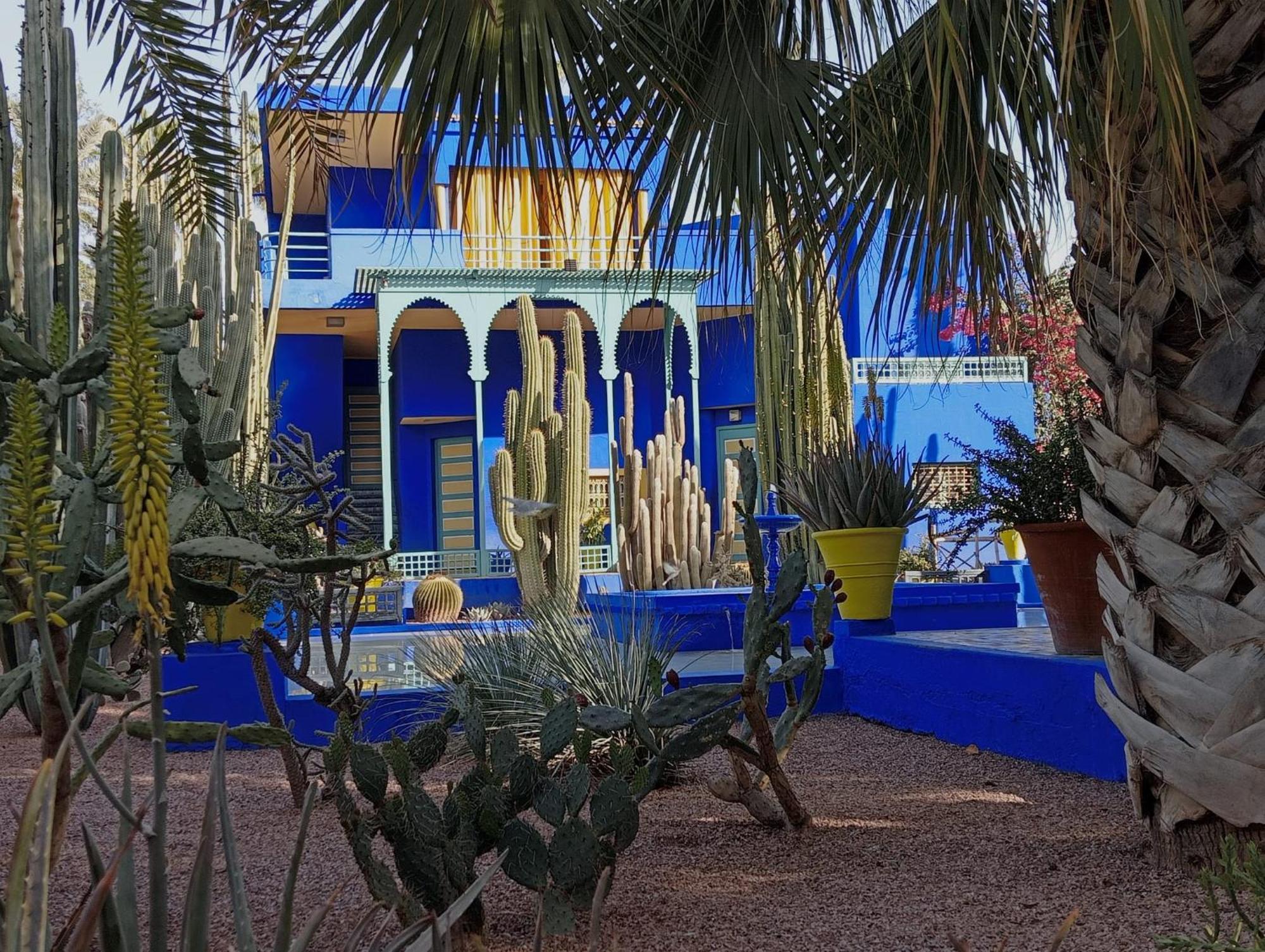 Les Gazelles D'orient Marrakech
