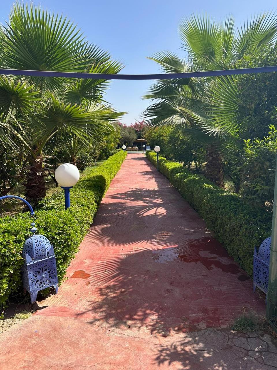 Ms Holidays Mika Privatisee Marrakech Villa