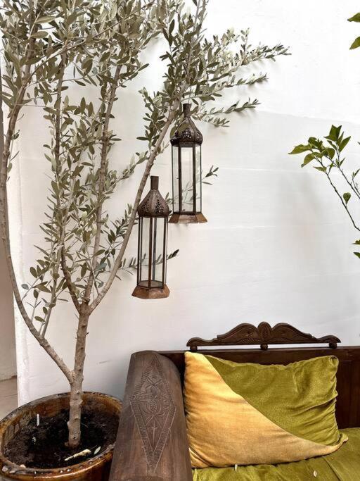 Dar Lara - Architect's Private - Entire Vakantiehuis *