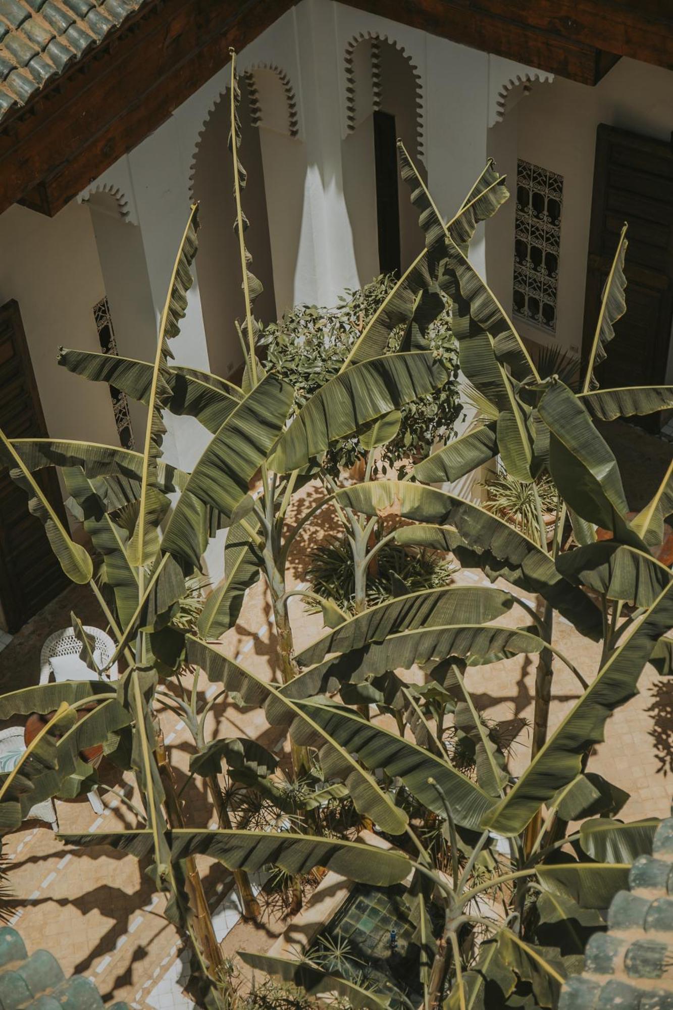 Palais Chadmi Riad