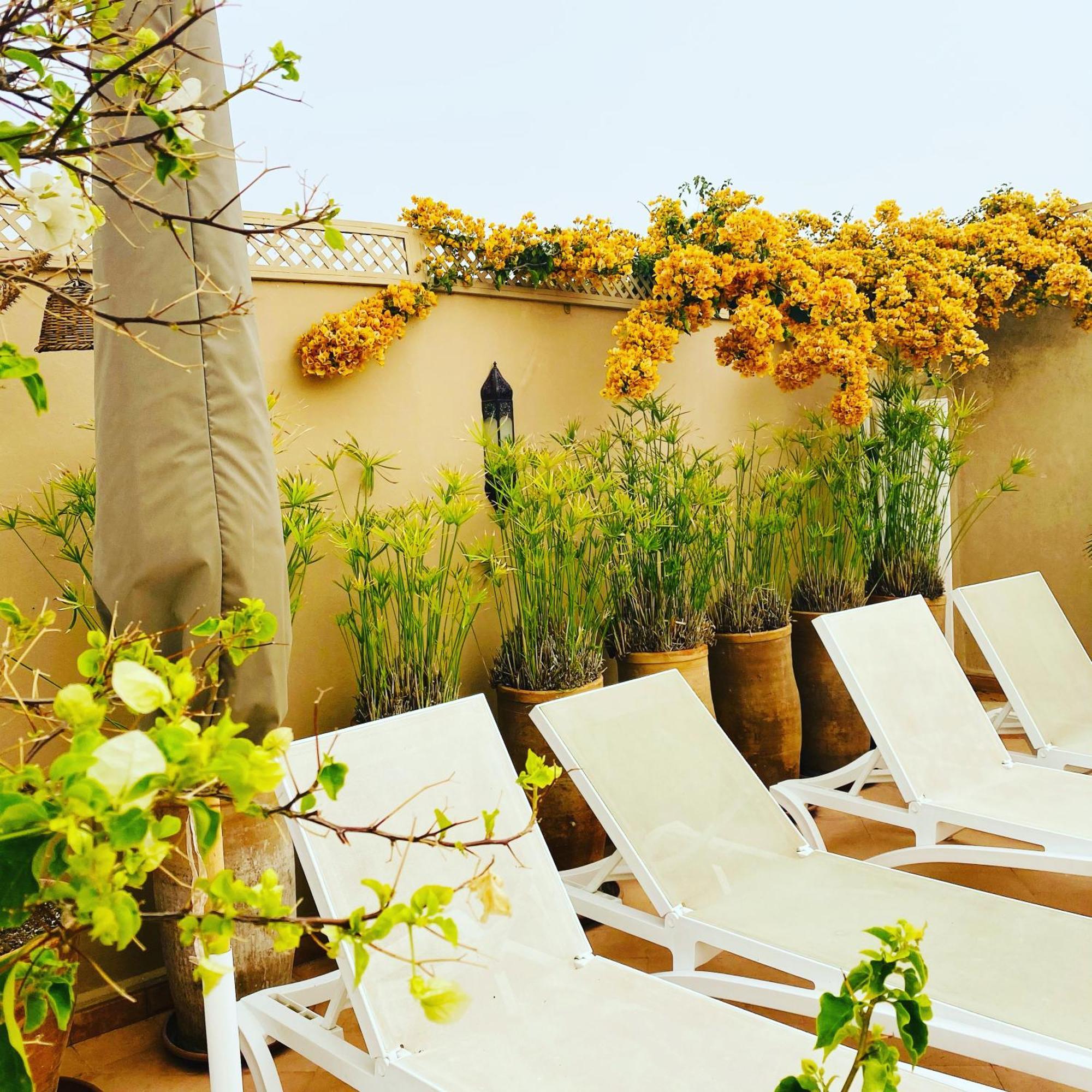 Riad Les Orangers D'alilia Riad 3*