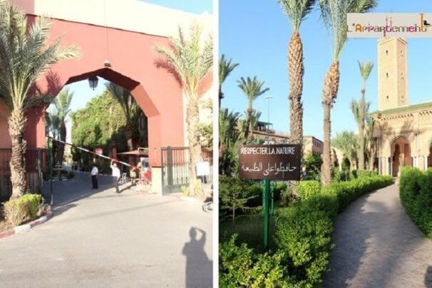 Nour Beldi Marrakesh