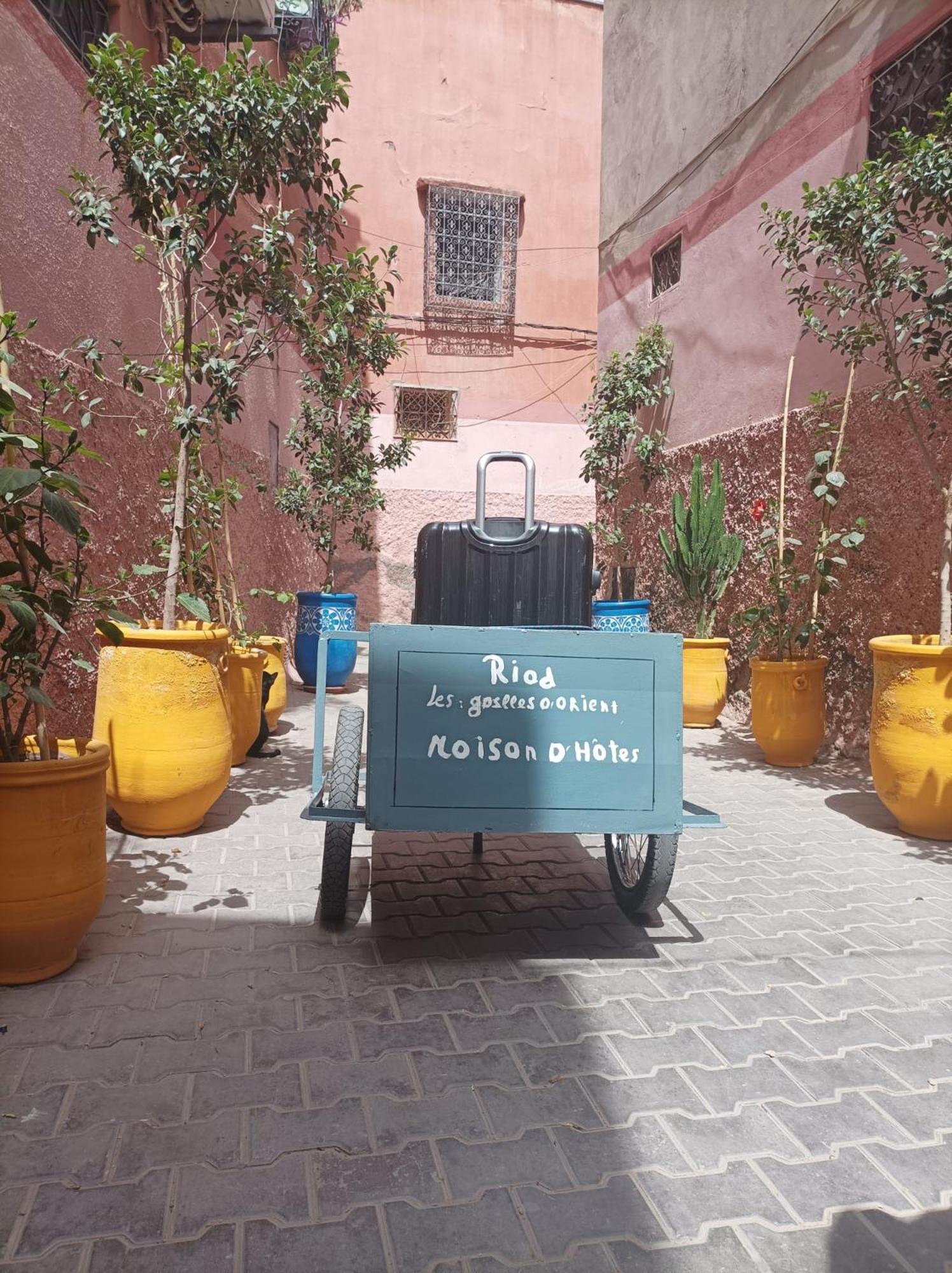 Les Gazelles D'orient Marrakech Riad Marrakesh