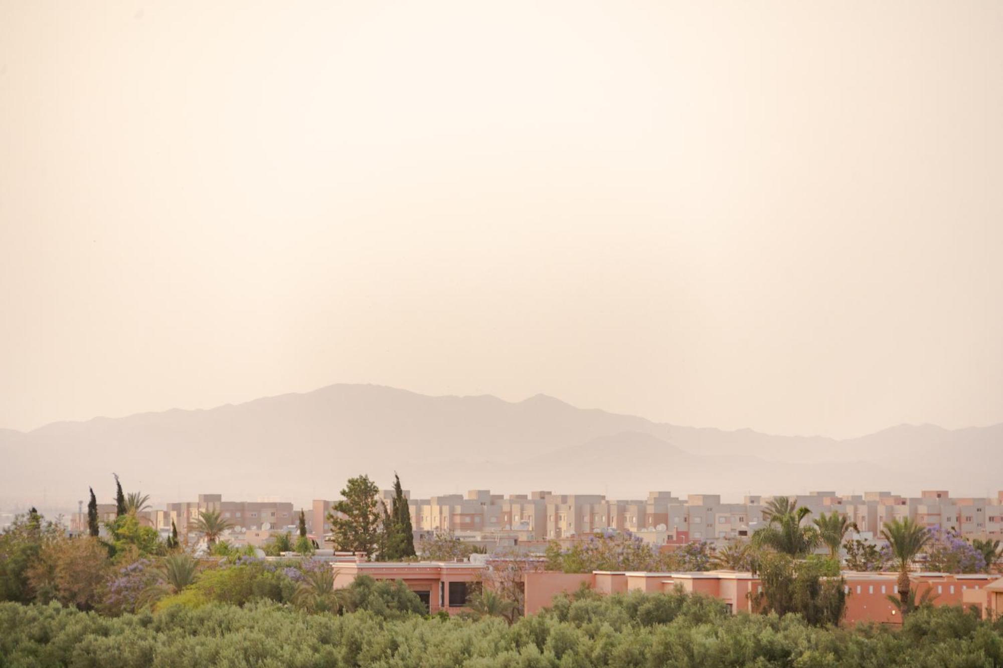 Marrakech Family * Marrakesh