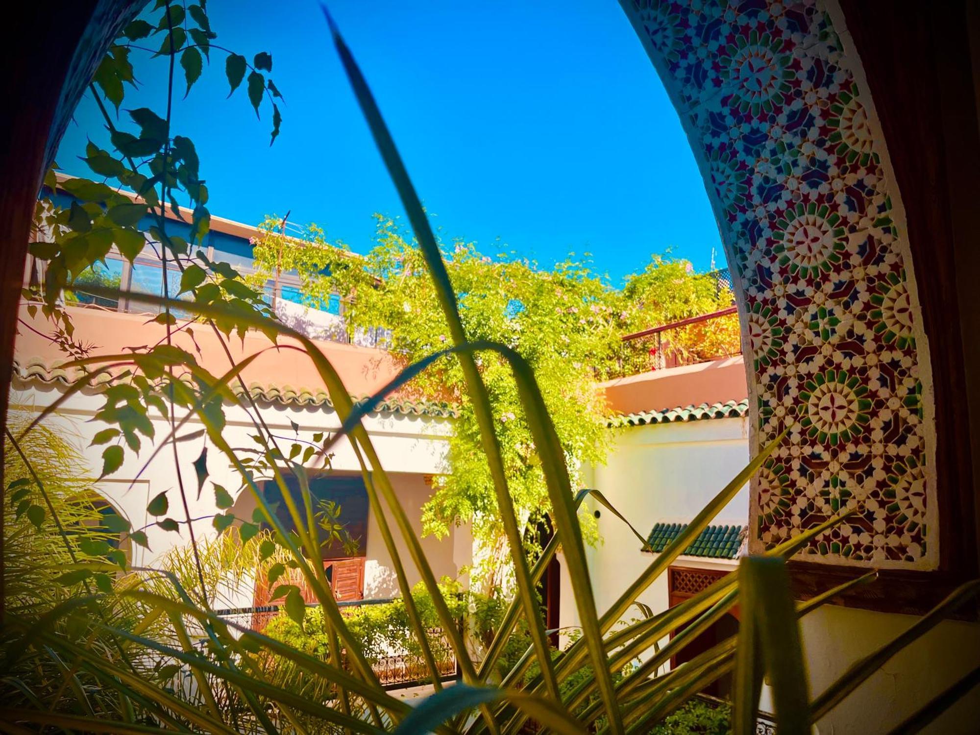 Le Dromadaire Bleu By Weekome Marrakesch