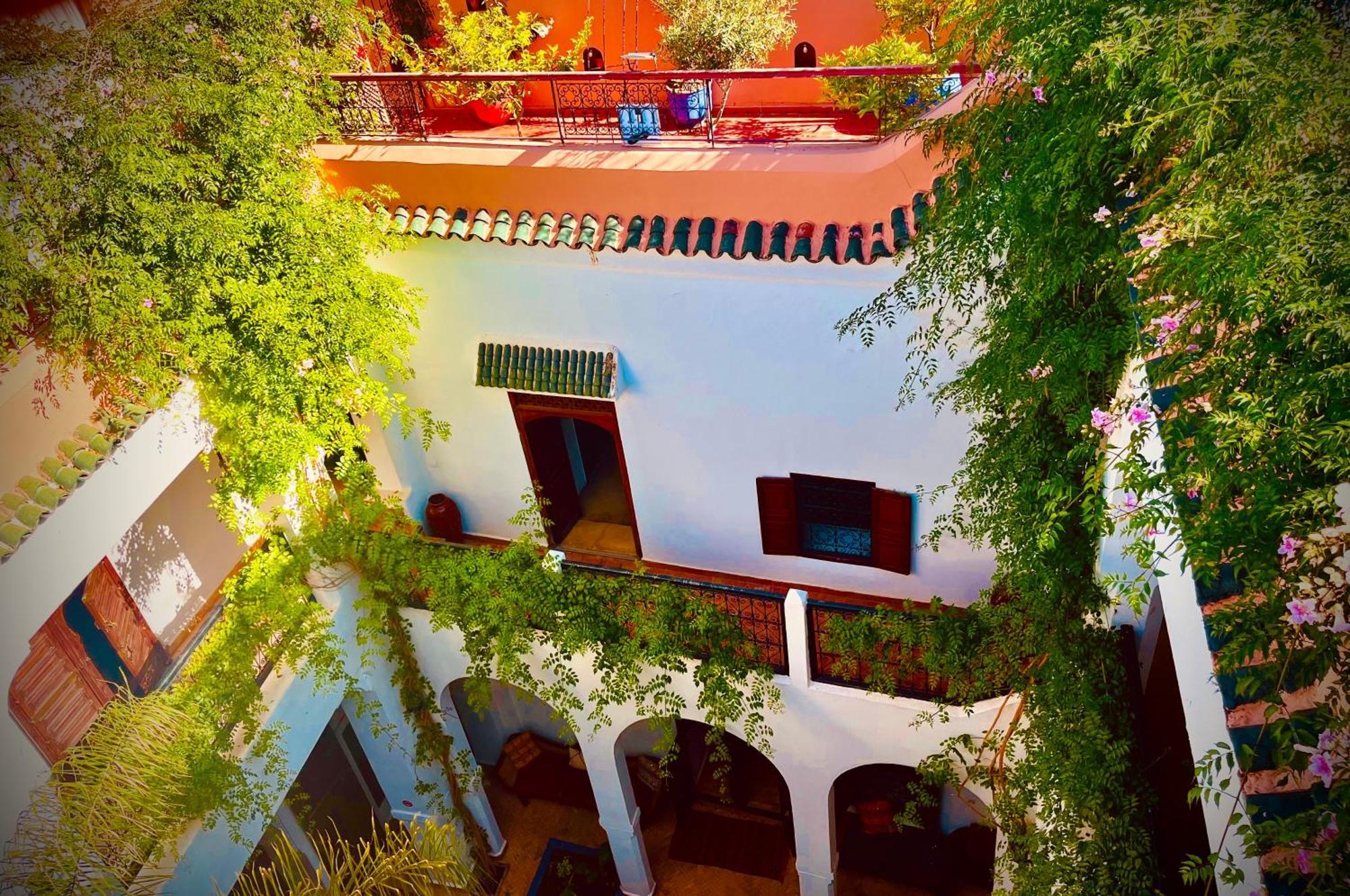 Le Dromadaire Bleu By Weekome * Marrakesch