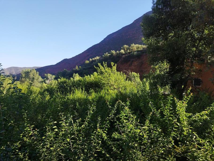 Petit Avec Piscine Prive Sur Le Vallee D'ourika Villa Marrakesh