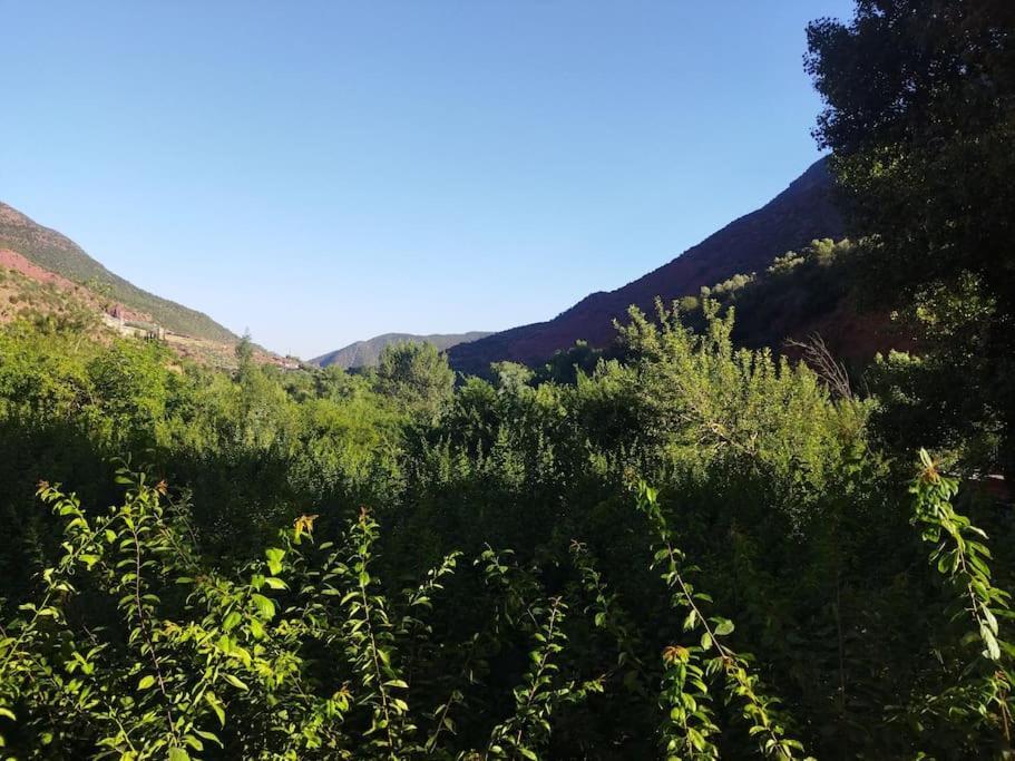 Petit Avec Piscine Prive Sur Le Vallee D'ourika Villa Marrakesh