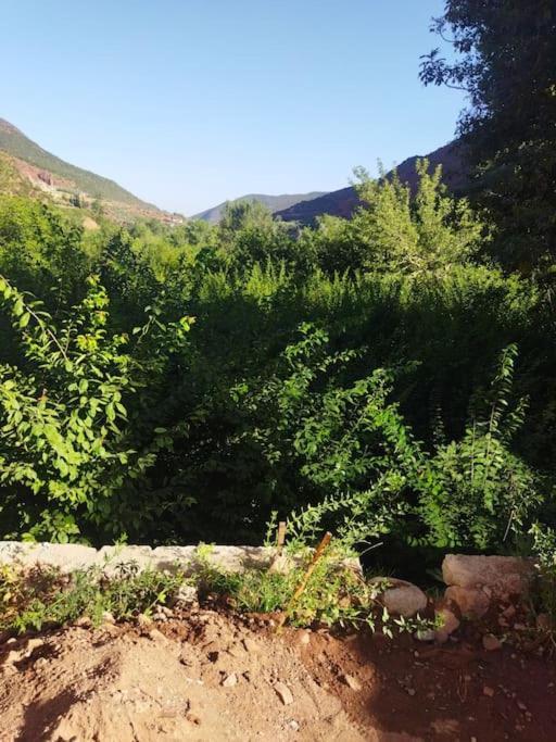 Petit Avec Piscine Prive Sur Le Vallee D'ourika Villa