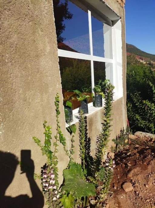 Villa Petit Avec Piscine Prive Sur Le Vallee D'ourika