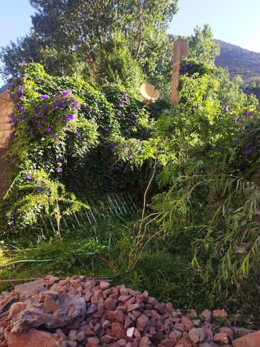 Petit Avec Piscine Prive Sur Le Vallee D'ourika Marrakesh