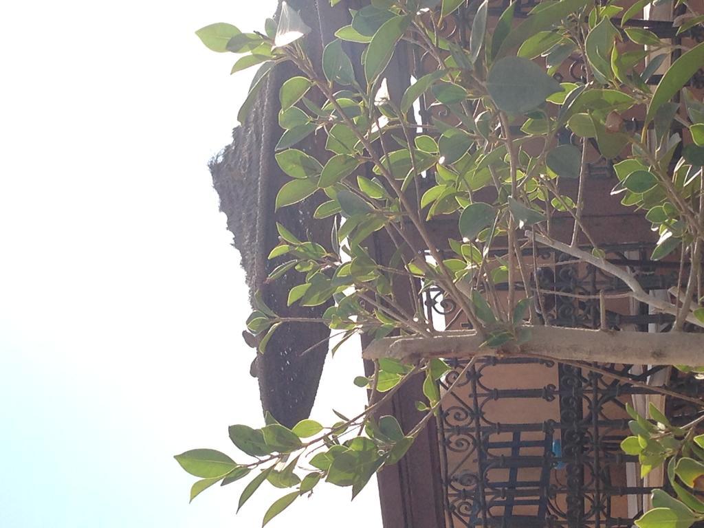 Hiba 3* Marrakesch