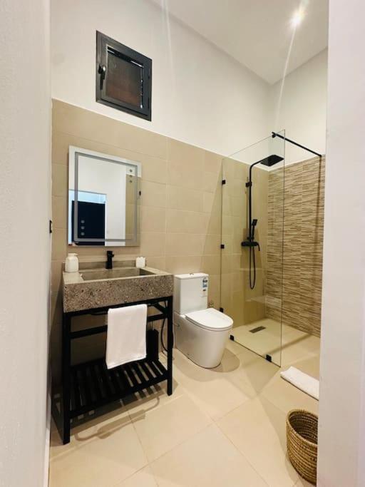 Somptueuse Avec Paddle, Hammam Et Wi-fi