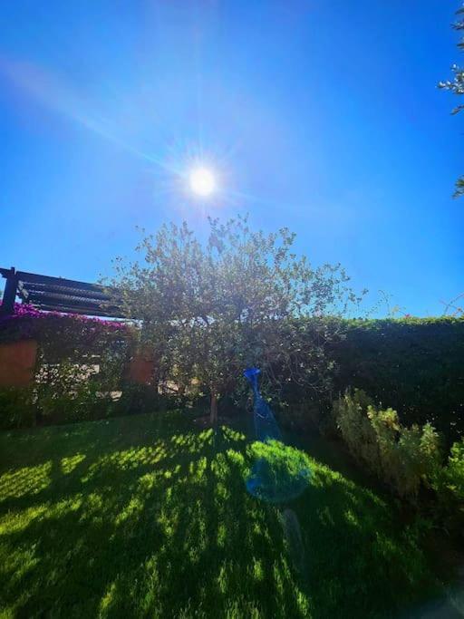 Villa Luxury In Marrakech *