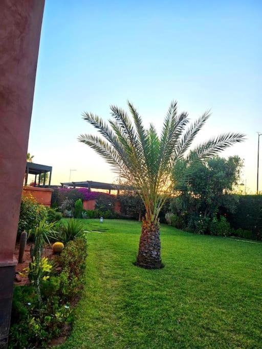 Luxury In Marrakech Villa