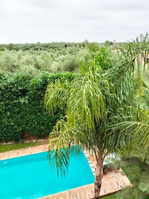 Maison Jnan Ghmat Villa