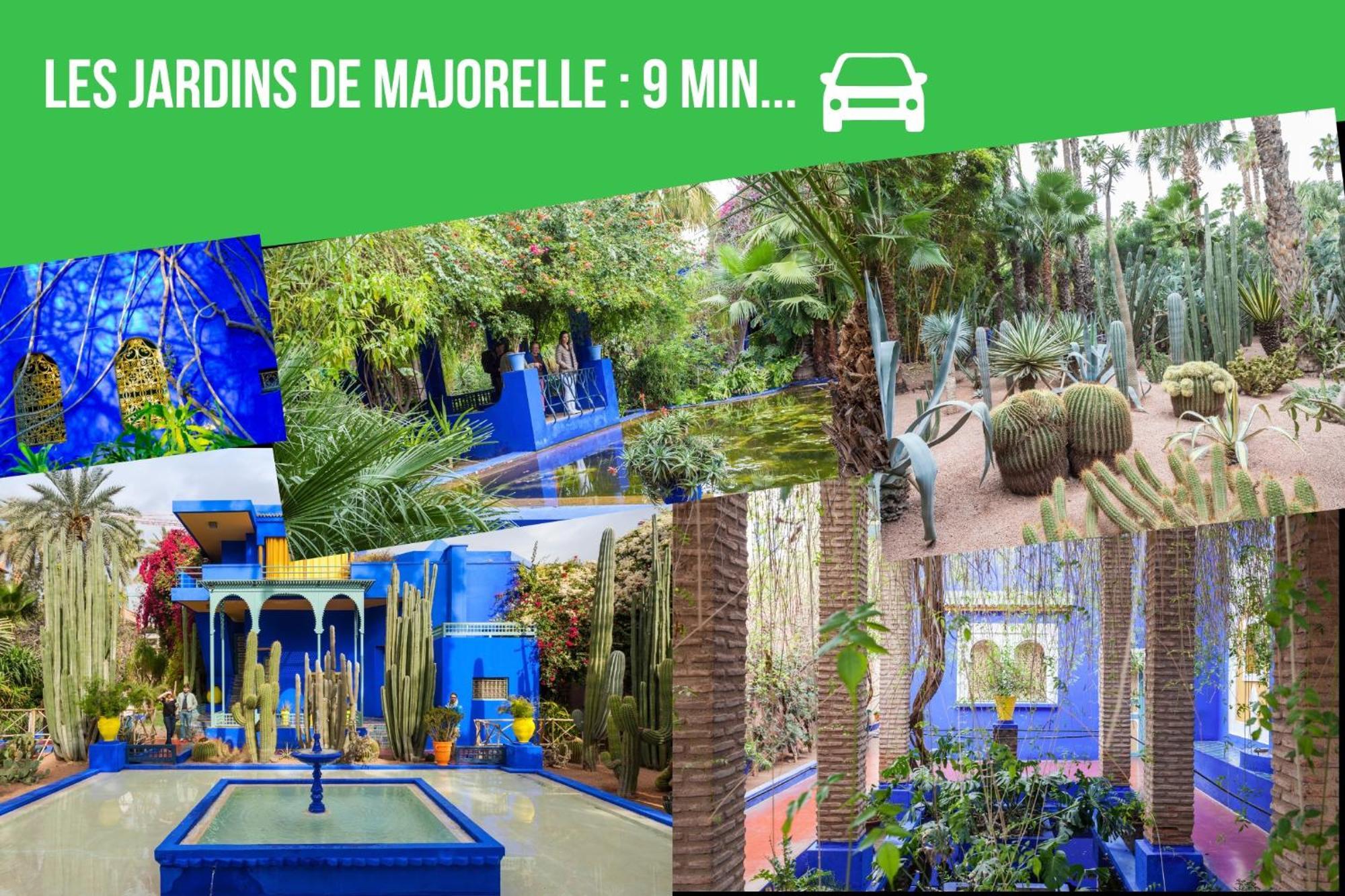 Apartamento Magnifique Unique Et Central! *