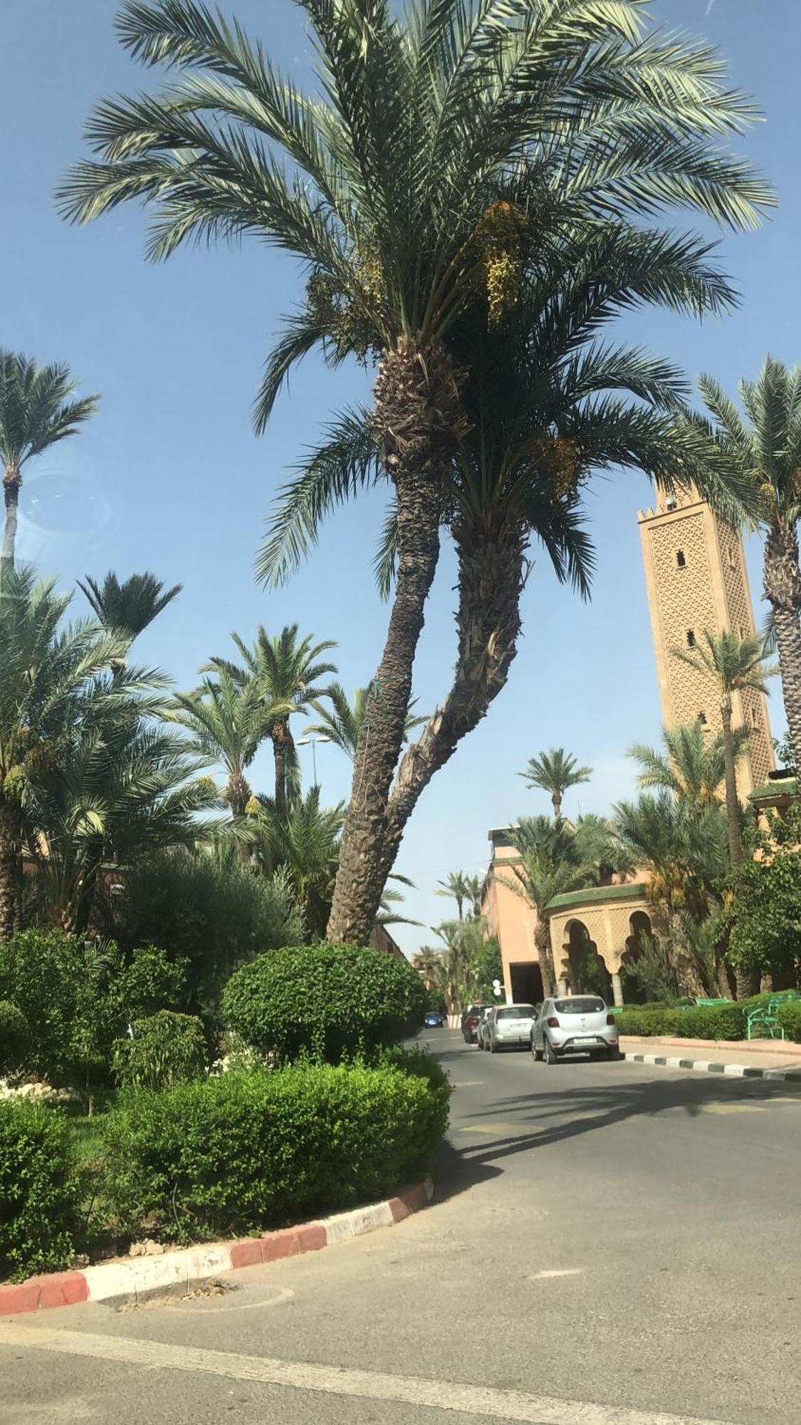 Ferienhaus Lyna Marrakesch