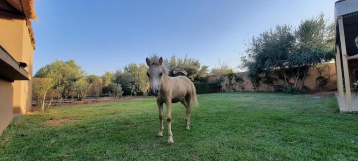 Ferme Adam Agafay Marrakech *