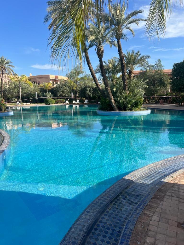 Vue Piscine Palmerie Appartement Marrakesh