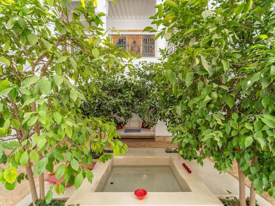 Holiday home Peaceful Oasis Authentic
