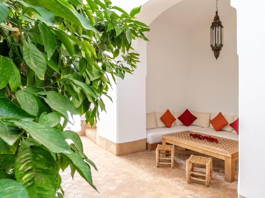 Peaceful Oasis Authentic *