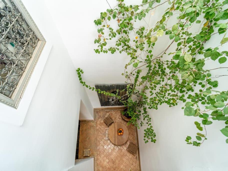 Peaceful Oasis Authentic Holiday home