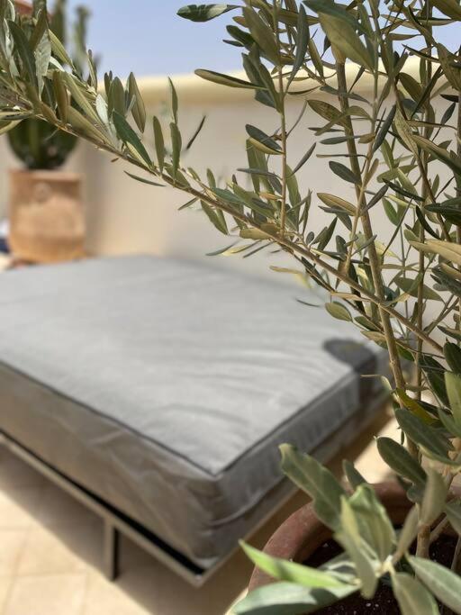Dardeco Prive Centre Medina Vakantiehuis *
