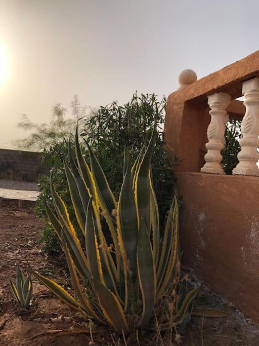 Sejour Authentique A Marrakech Villa *