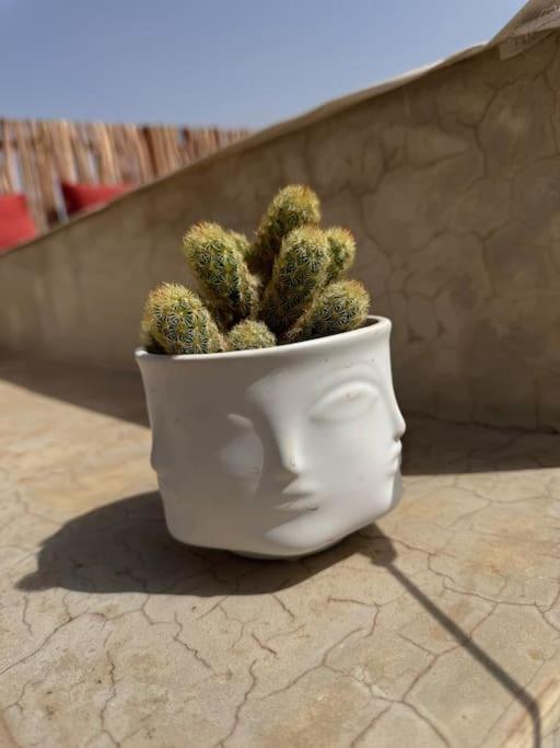 Jarco Marrakech, Coeur Medina, Rooftop, Bassin , Proche Place Jemaa El Fna * Marrakesh