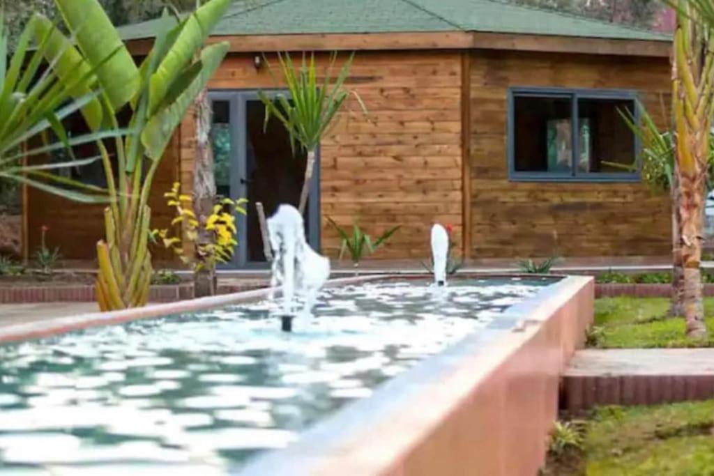 Appartement 5 Piscine Fitness