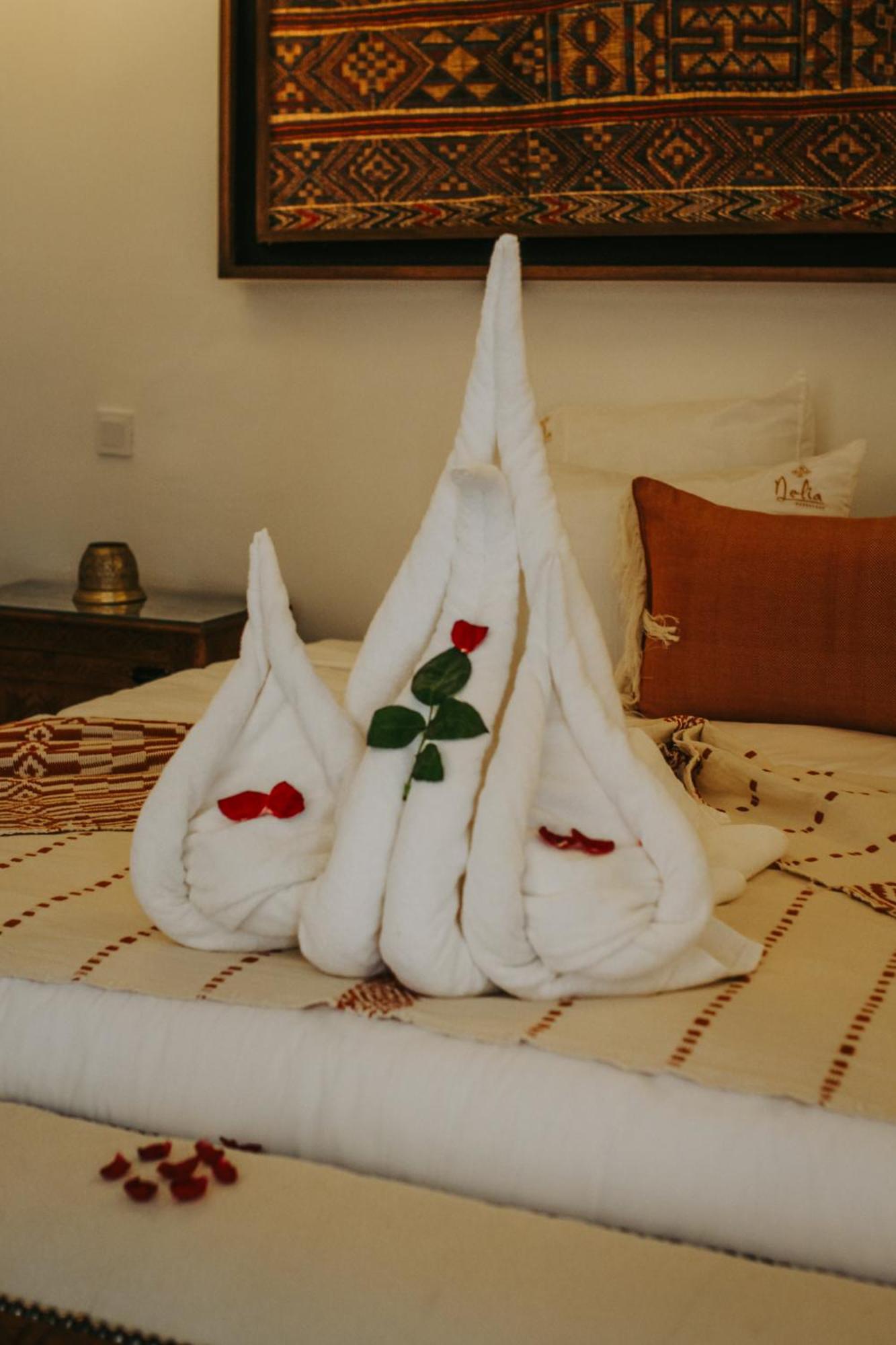 Bed & Breakfast Nelia Marrakech, Collection