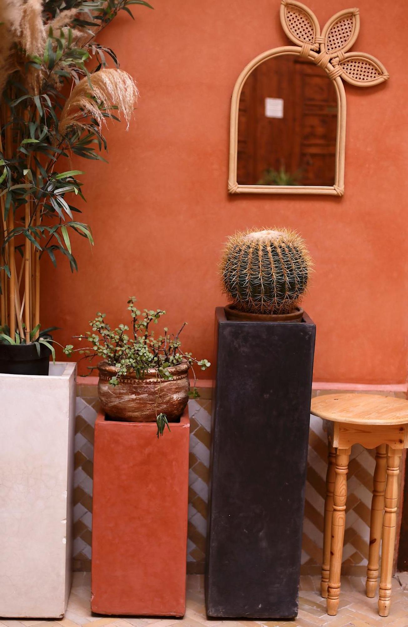 Riad Ambre Et Jasmin Marrakesh
