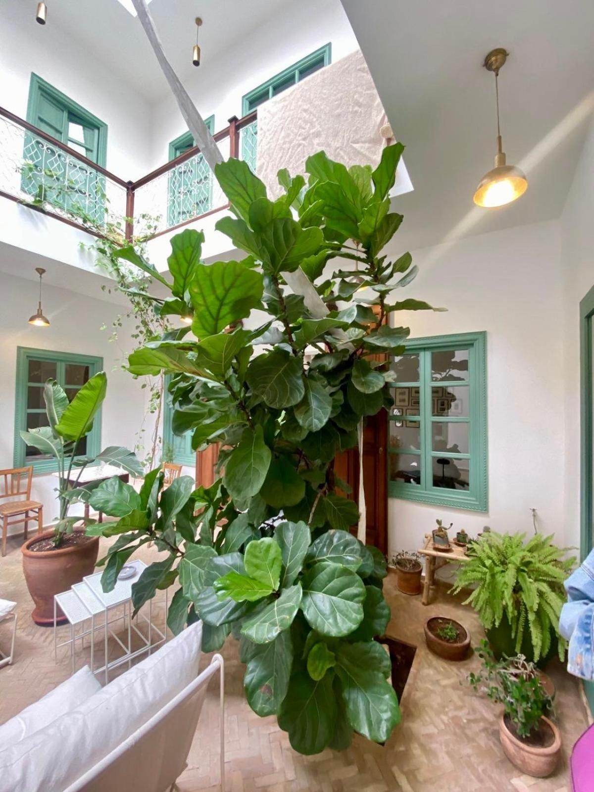 Ferienhaus Les 3j