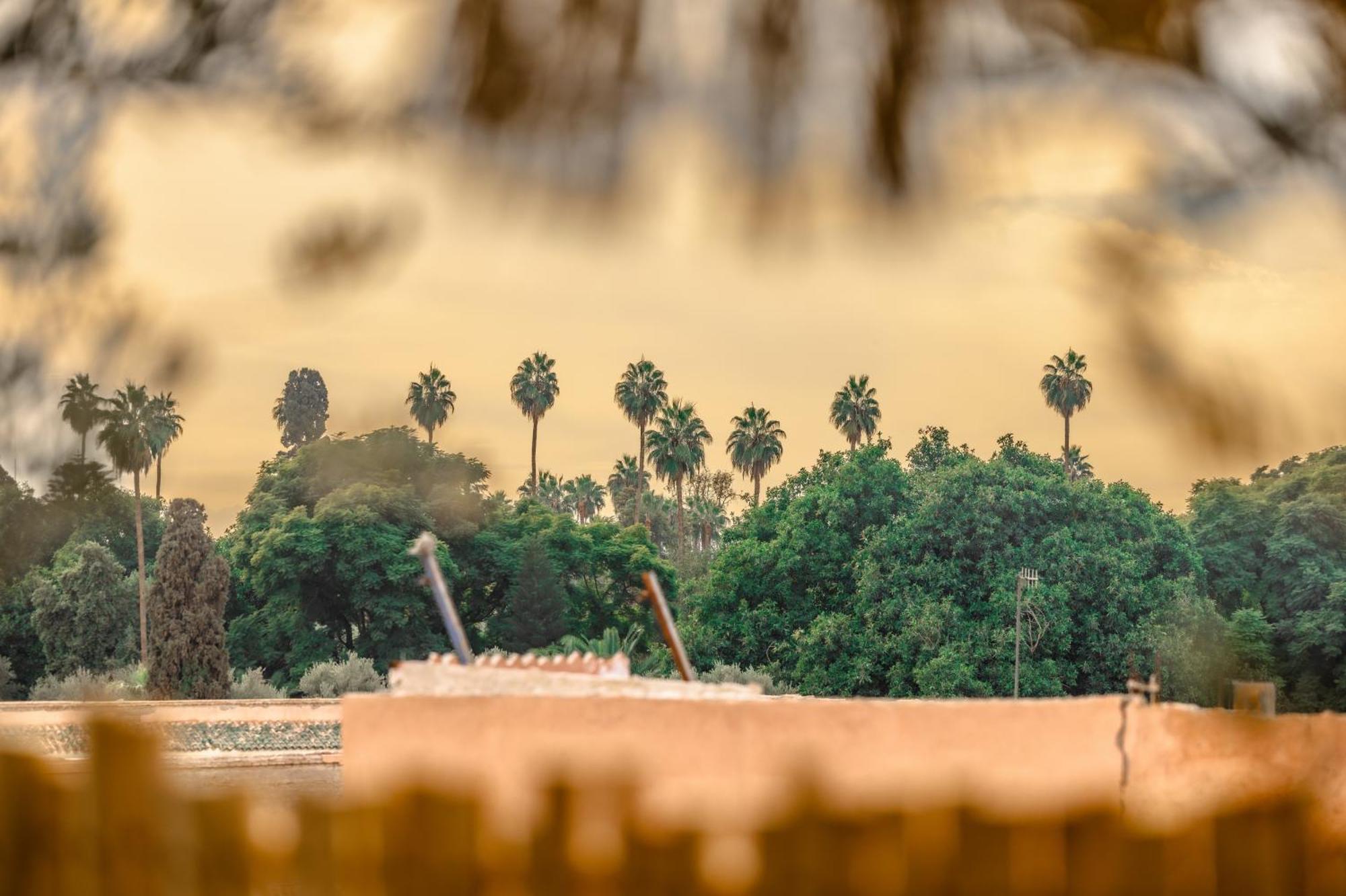 Dar Beldia And Marrakesh
