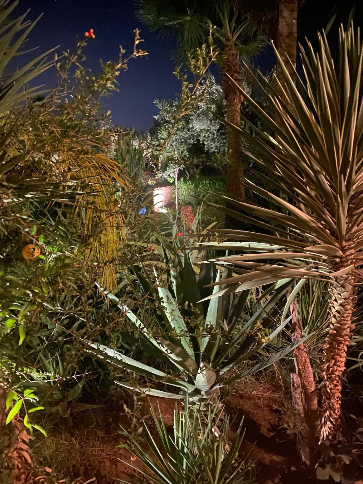 Les Portes De L'atlas - Marrakech *