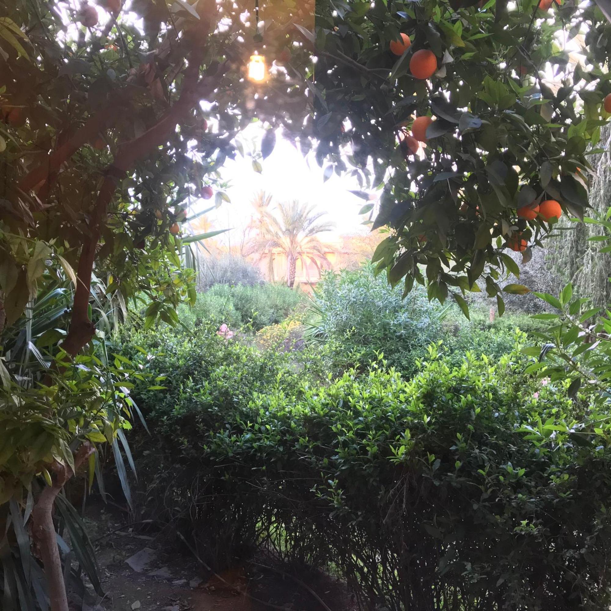 Palmeraie Village 2 Relax And Pool * Marrakesh