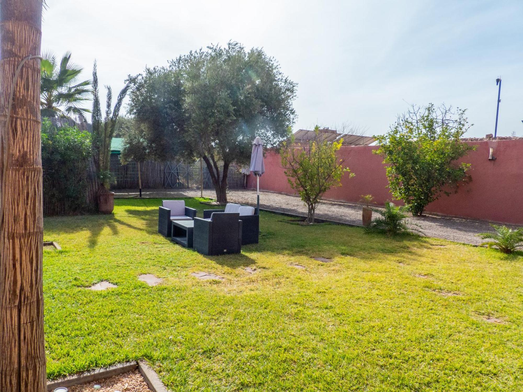 Msholidays 3 Palmiers Privatisee Piscine Marrakech Marrakesh