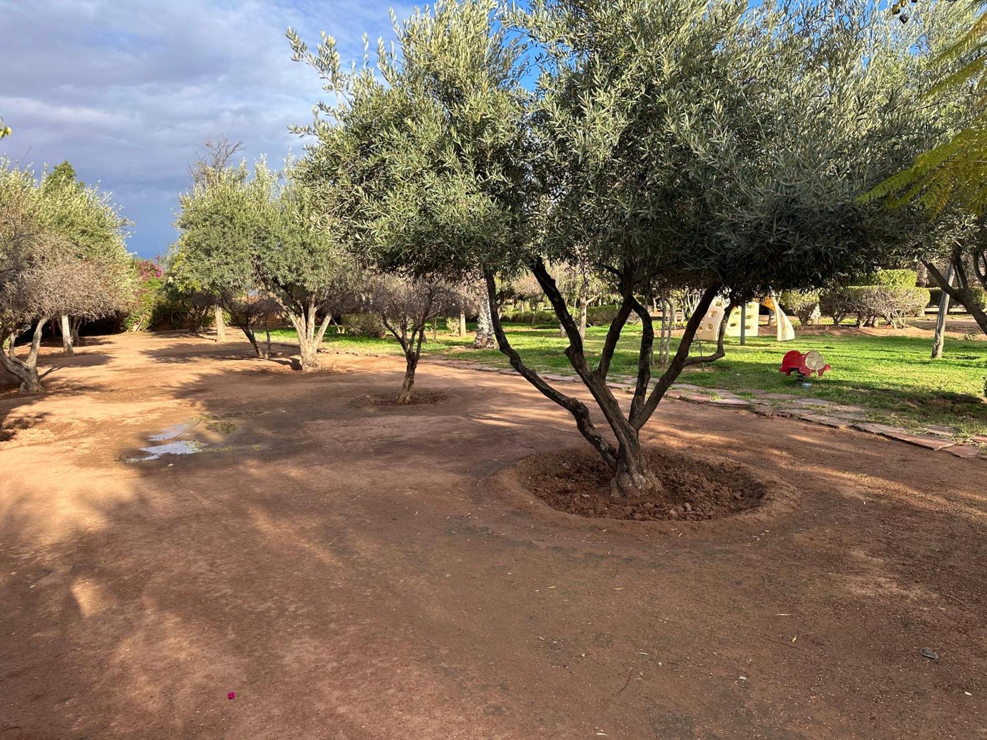 Palais Mamina 380m2 Au Coeur De La Palmeraie De Marrackech Villa *