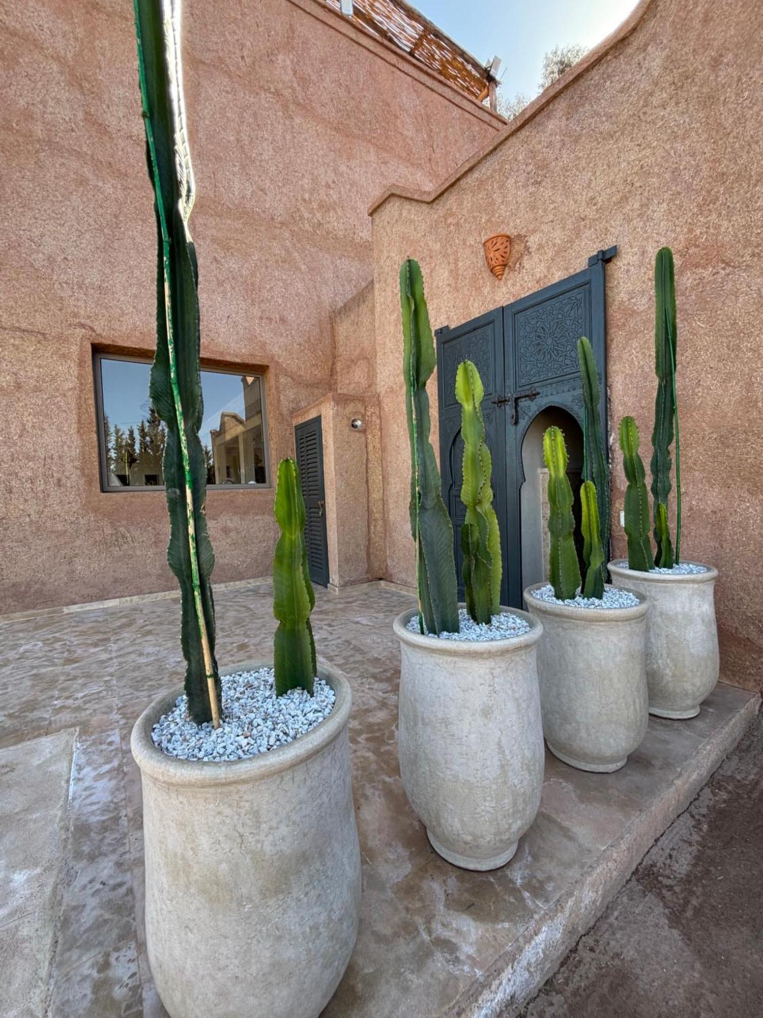 Villa New Dar Ait Zahra Marrakech-cook Included-view Atlas Marrakesh