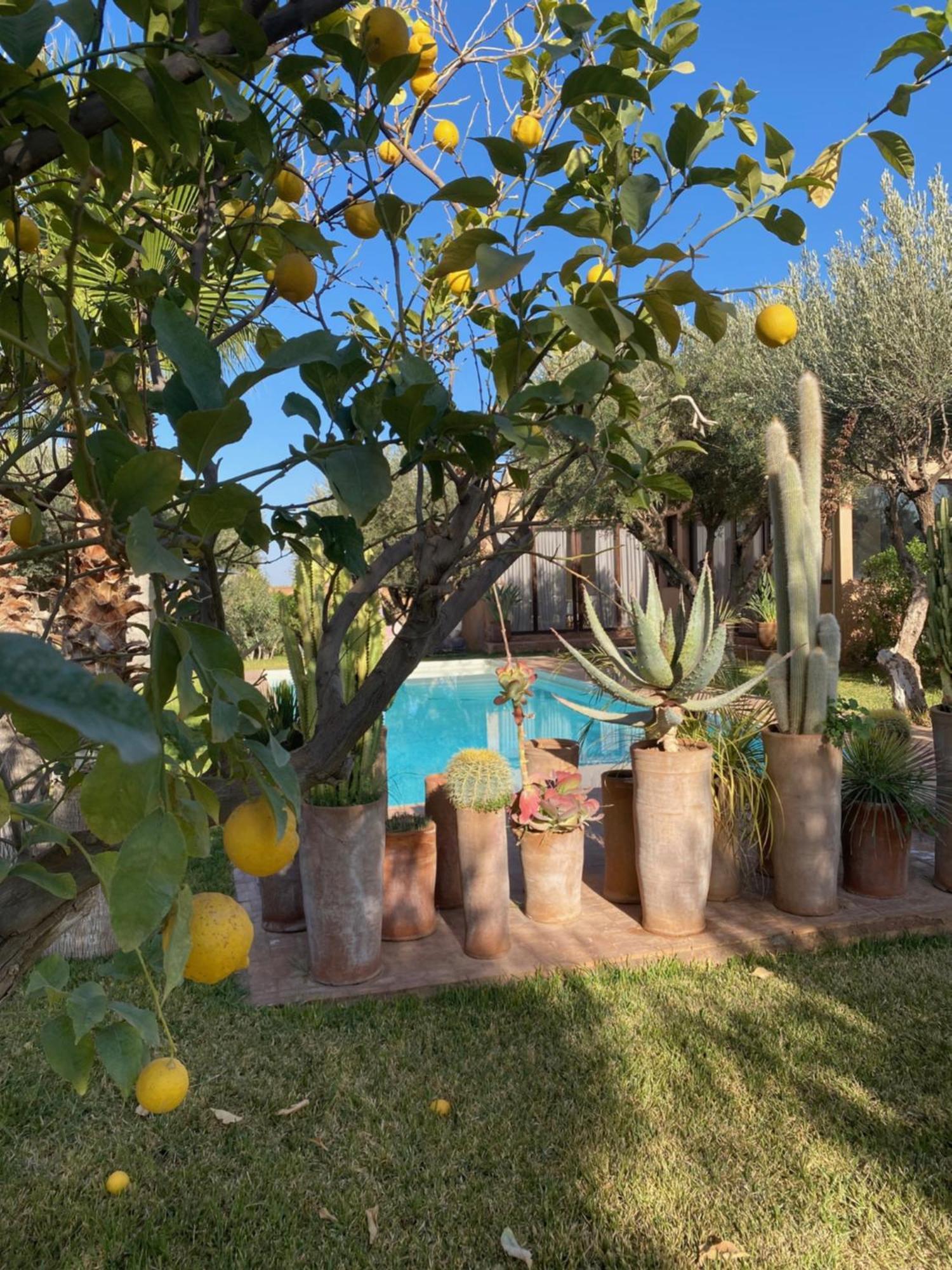 Les Portes De L'atlas - Marrakech