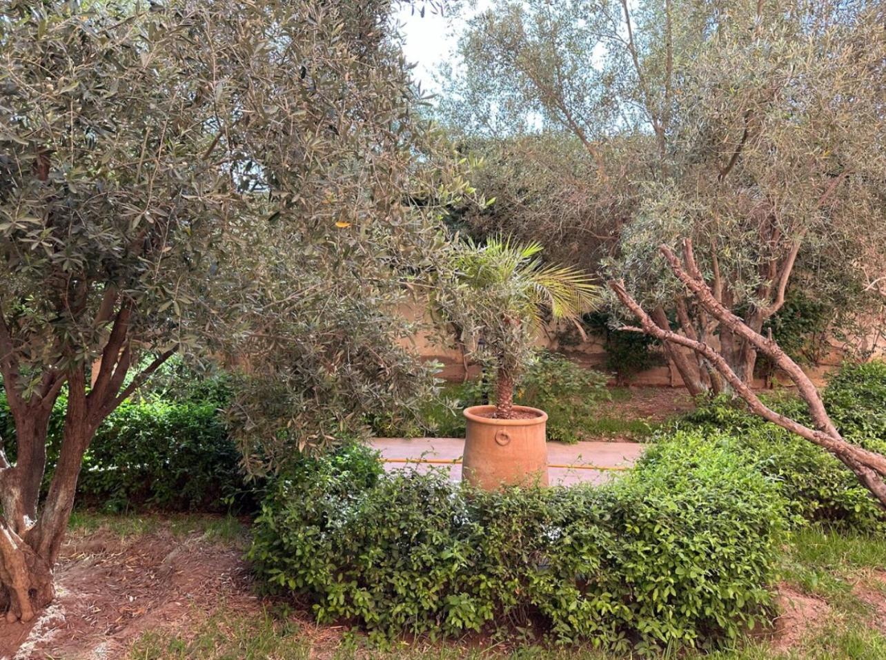 Appartement F3 Exceptionnel A Gueliz - A 5 Min De La Gare - Piscine, Wi-fi Et Parking Au Coeur De Marrakech Marrakesh
