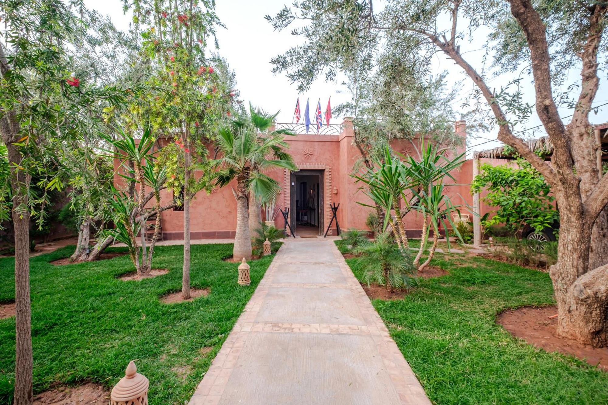 Olive Marrakesh