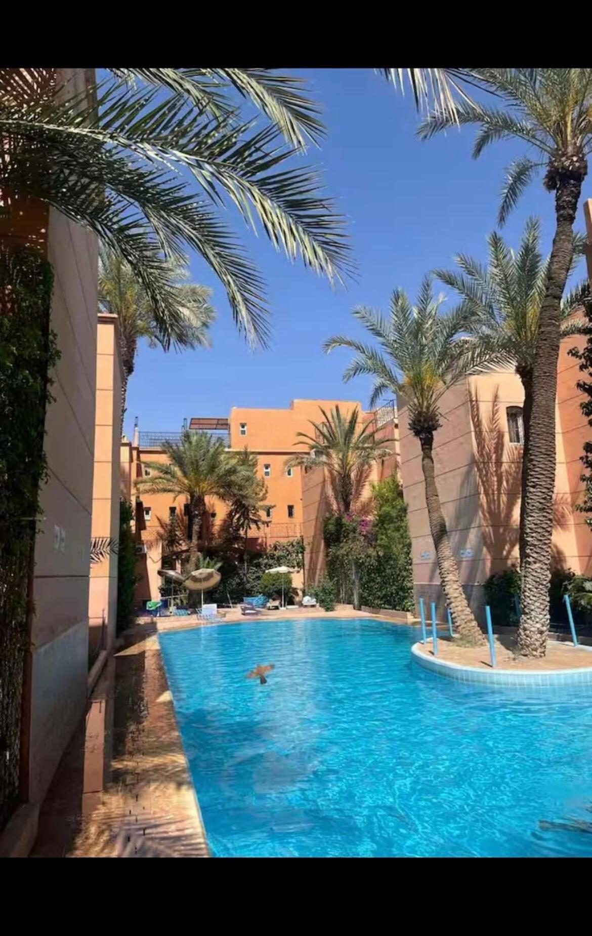 Abdel * Marrakesh