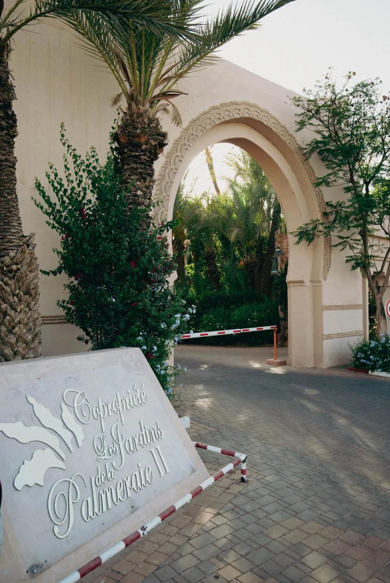 Palm Spot