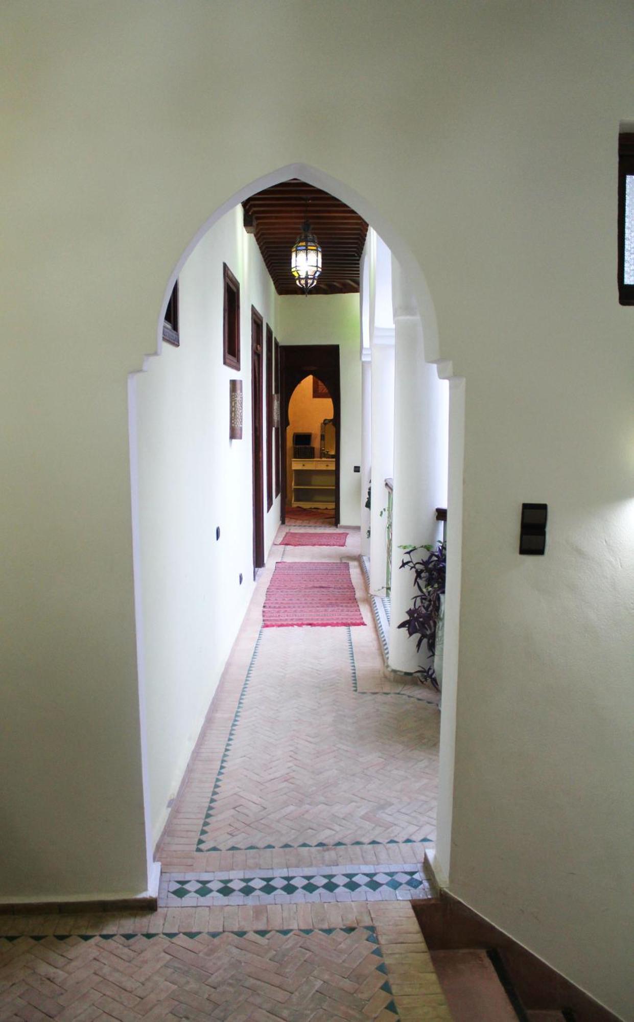 Alida Riad 3*
