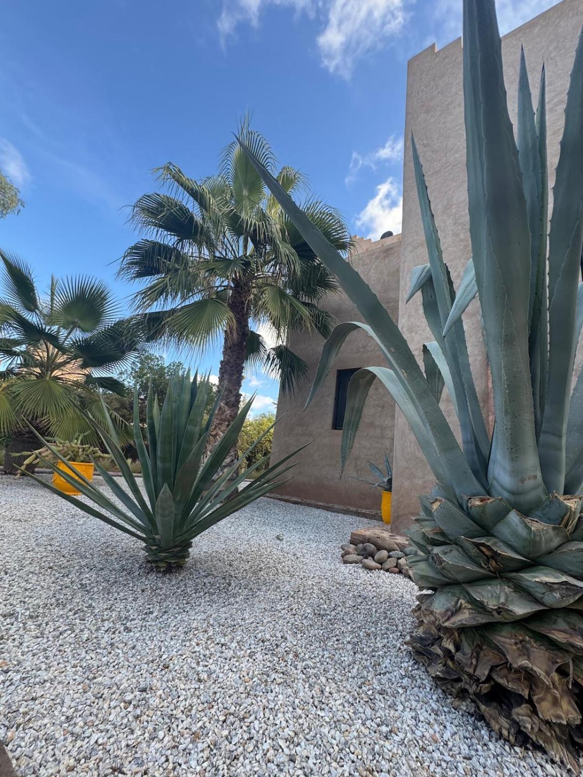 Splendide Avec Piscine Villa Marrakesh
