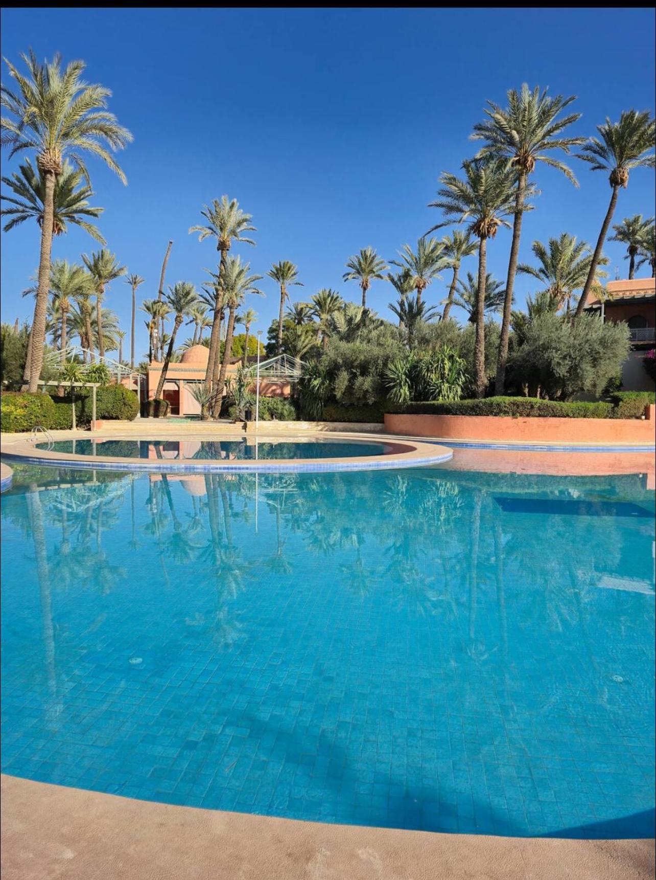 Palm Spot * Marrakesh
