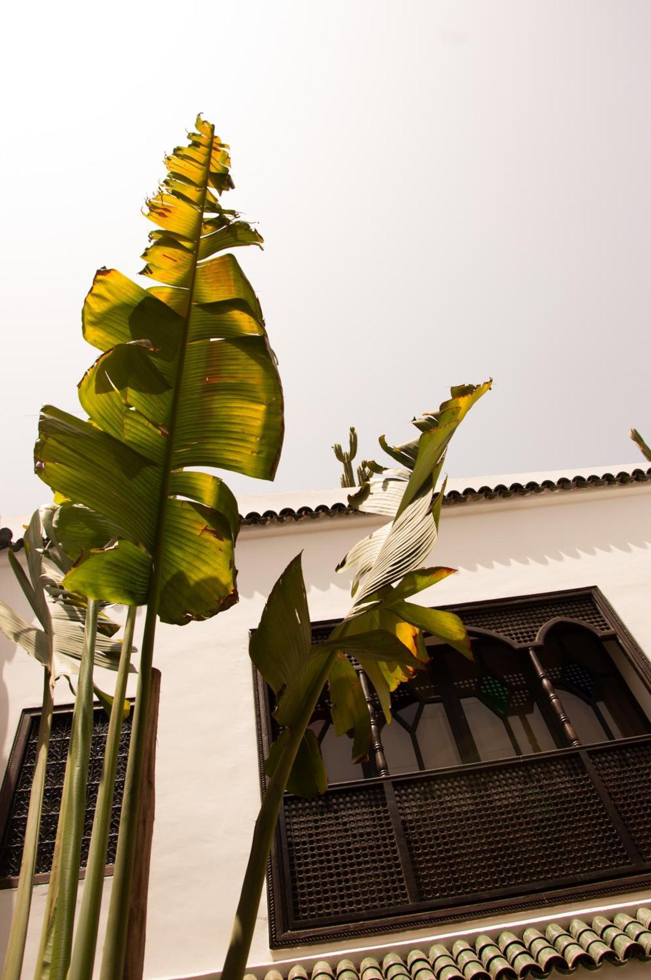 Dar El Mahja Bed & Breakfast *